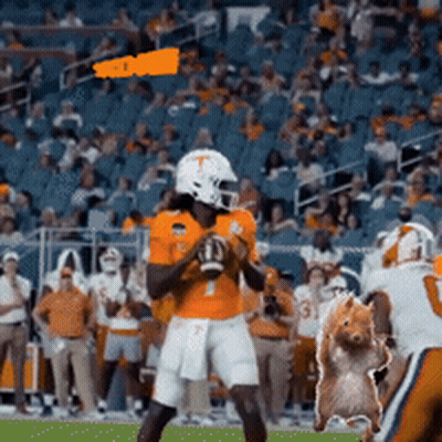 Football Player Number 1 Holding Ball GIF