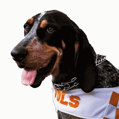 Football Player Number 1 Holding Ball GIF