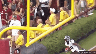 Football Player Number 14 Helmet GIF