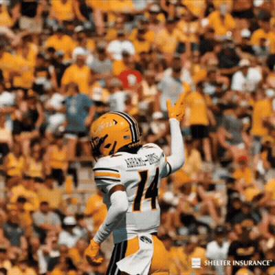 Football Player Number 14 In Front Of Crowd GIF