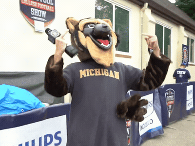 Football Player Number 17 Being Tackled GIF
