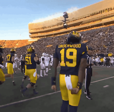 Football Player Number 19 Stands On Field GIF
