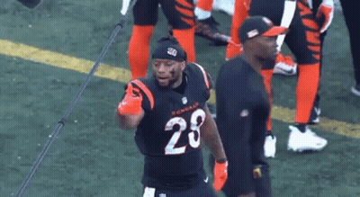 Football Player Number 28 On Field GIF