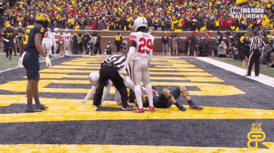Football Player Number 29 On Field GIF