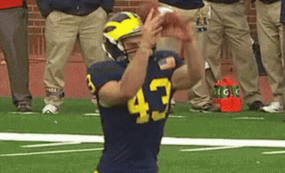 Football Player Number 43 About To Catch Ball GIF
