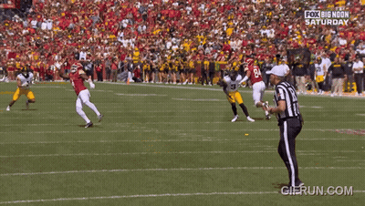 Football Player Number 43 GIF