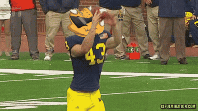 Football Player Number 43 Throws Ball GIF
