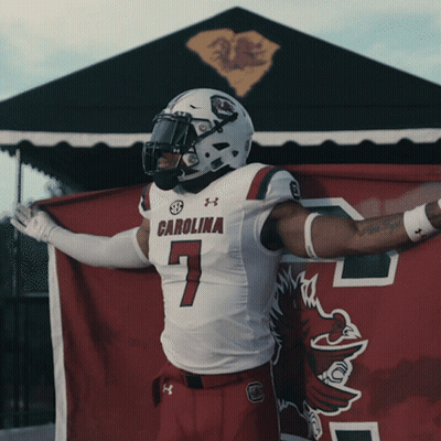 Football Player Number 7 Holding Flag GIF