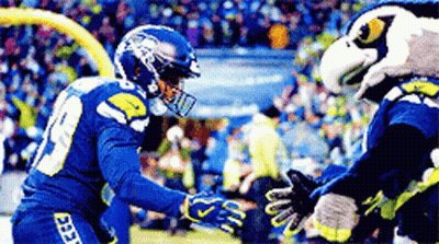 Football Player Number 9 Shakes Hands With Seahawks Mascot GIF