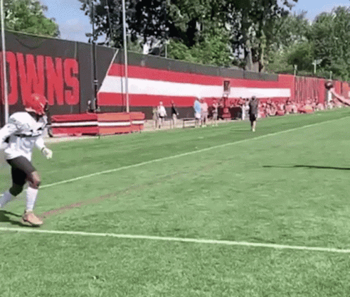 Football Player Running By Cleveland Browns Banner GIF