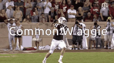 Football Player Running With Common Waggie GIF