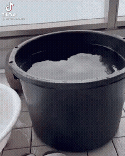Football Player Shaking Hands In Crowd GIF