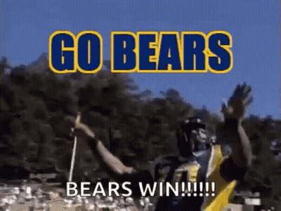 Football Player Waving Flag In Front Of Crowd GIF