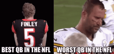 Football Player With Finley On Back GIF
