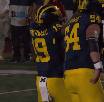 Football Players 19 And 54 GIF