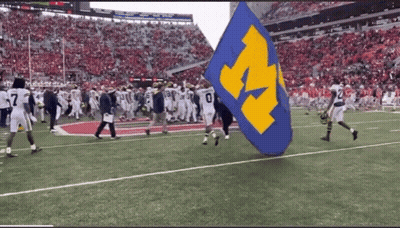 Football Players Carrying Blue And Yellow Flag With Letter M GIF