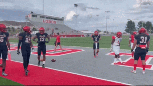 Football Players In Number 31 Jerseys GIF
