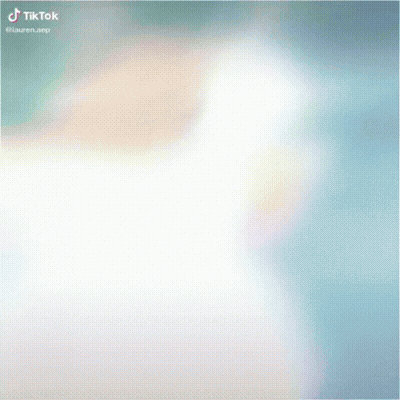 Football Players On Field With Dynasty Degens GIF