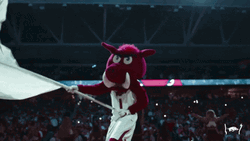 Football Players Rise And Shine In Hawaii GIF
