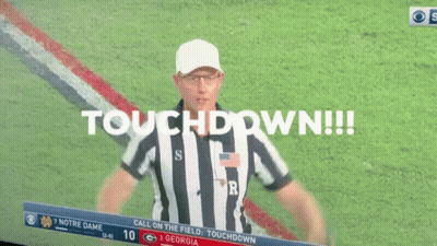 Football Referee Saying Touchdown GIF