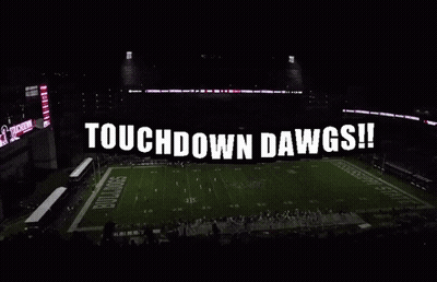Football Stadium Saying Touchdown Dawgs GIF