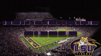 Football Stadium With LSU Tigers Logo GIF