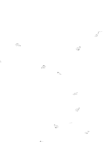 Footprints In Snow Sticker