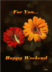 For You Flowers Butterfly Sweet Happy Weekend  GIF