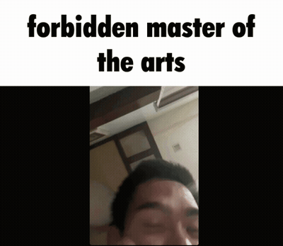 Forbidden Master Of The Arts Meme GIF