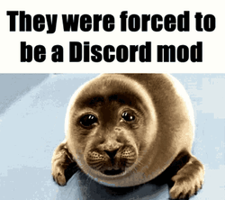 Forced Discord Mod