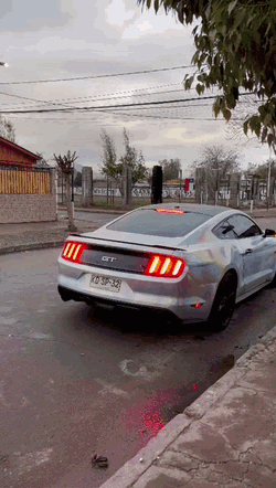 Ford Mustang Chile Mustang GIF