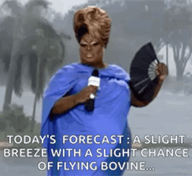 Forecast Is A Slight Chance Of Flying Bovine Hurricane Meme GIF