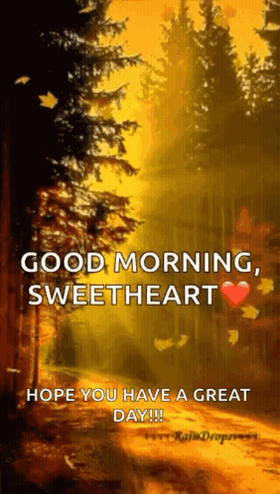Forest Good Morning Sweetheart Hope You Have A Great Day GIF