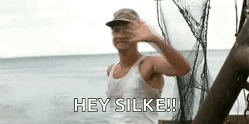 Forest Gump Wave Hey Silke Tom Hanks GIF