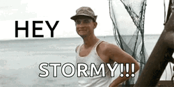 Forest Gump Wave Hey Stormy GIF