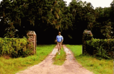 Forest Gump Wave Speeding Up GIF
