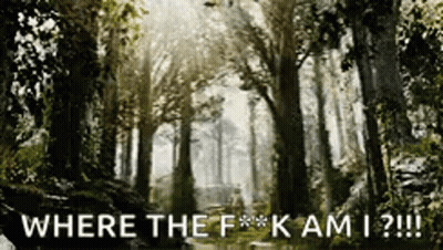 Forest Painting Saying Where The F*ck Am I GIF