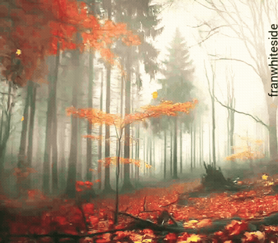Forest Painting With Franwhite Signature