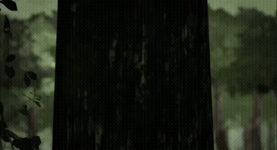 Forest Painting With Trees GIF