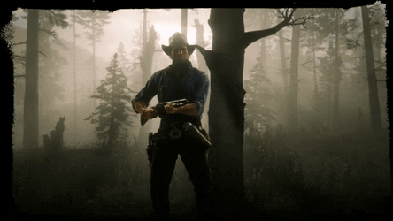 Forest Shotgun Rdr2 GIF