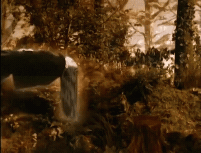 Forest Waterfall GIF