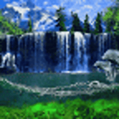 Forest Waterfall With Trees And Pond GIF