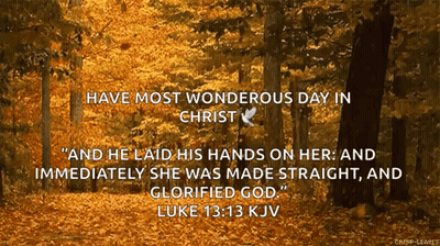 Forest With Bible Quote GIF