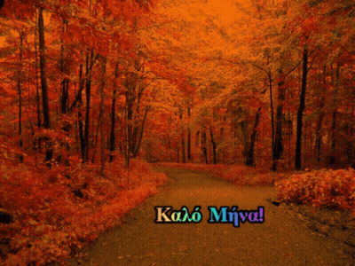Forest With Kalo Miva Text GIF