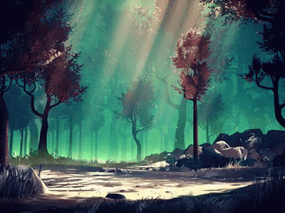 Forest With Sun Shining Through Trees