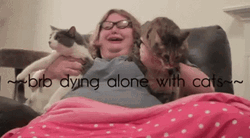 Forever Alone Cat Lady