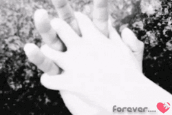 Forever Hard Grip Holding Hands GIF