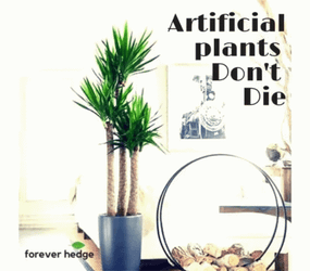 Forever Hedge Green Wall GIF