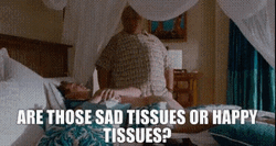 Forgetting Sarah Marshall Sad Or Happy Tissues GIF