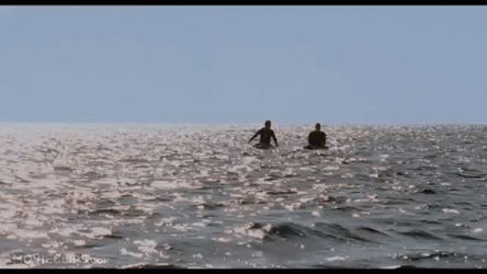 Forgetting Sarah Marshall Sailing At Sea GIF